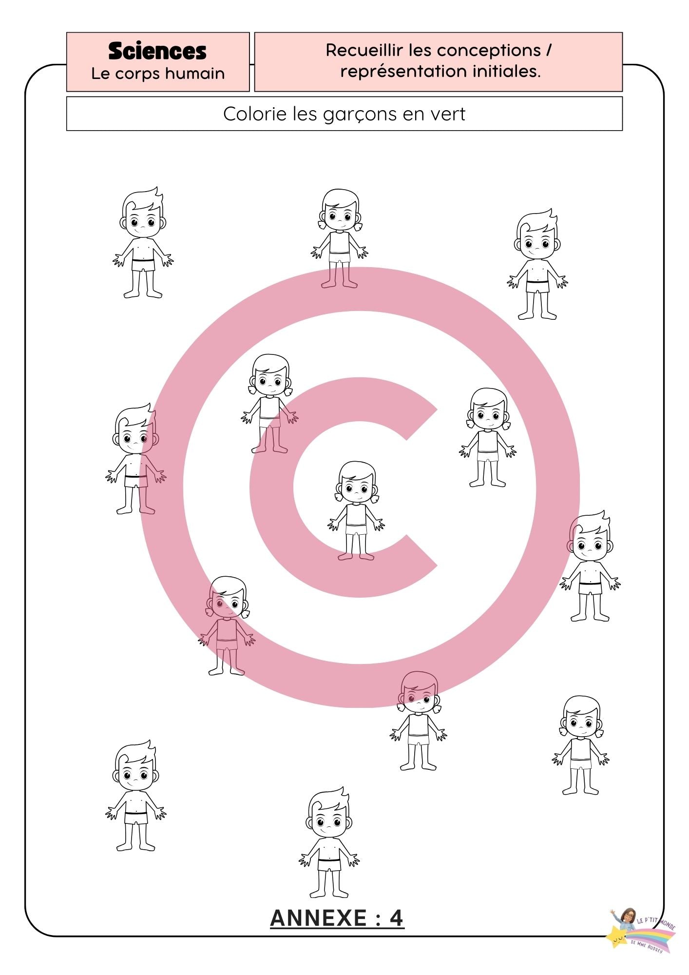 Dossier Sciences: Le corps humain /Les 5 sens (320 pages) + démarches d'investigation