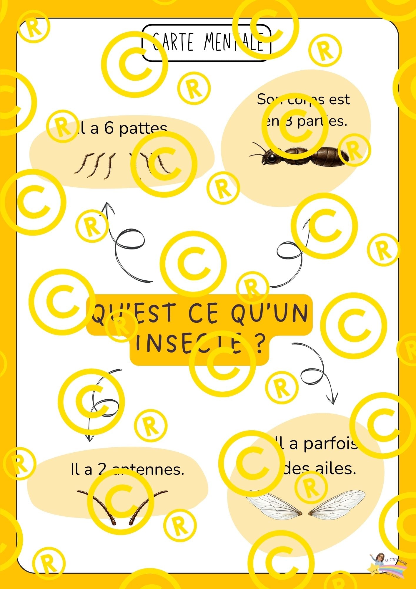 Mon dossier scientifique sur les insectes