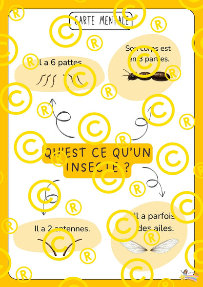 Mon dossier scientifique sur les insectes