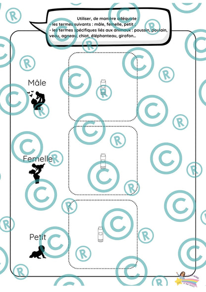 Dossier scientifique : Le monde animal (La classification)
