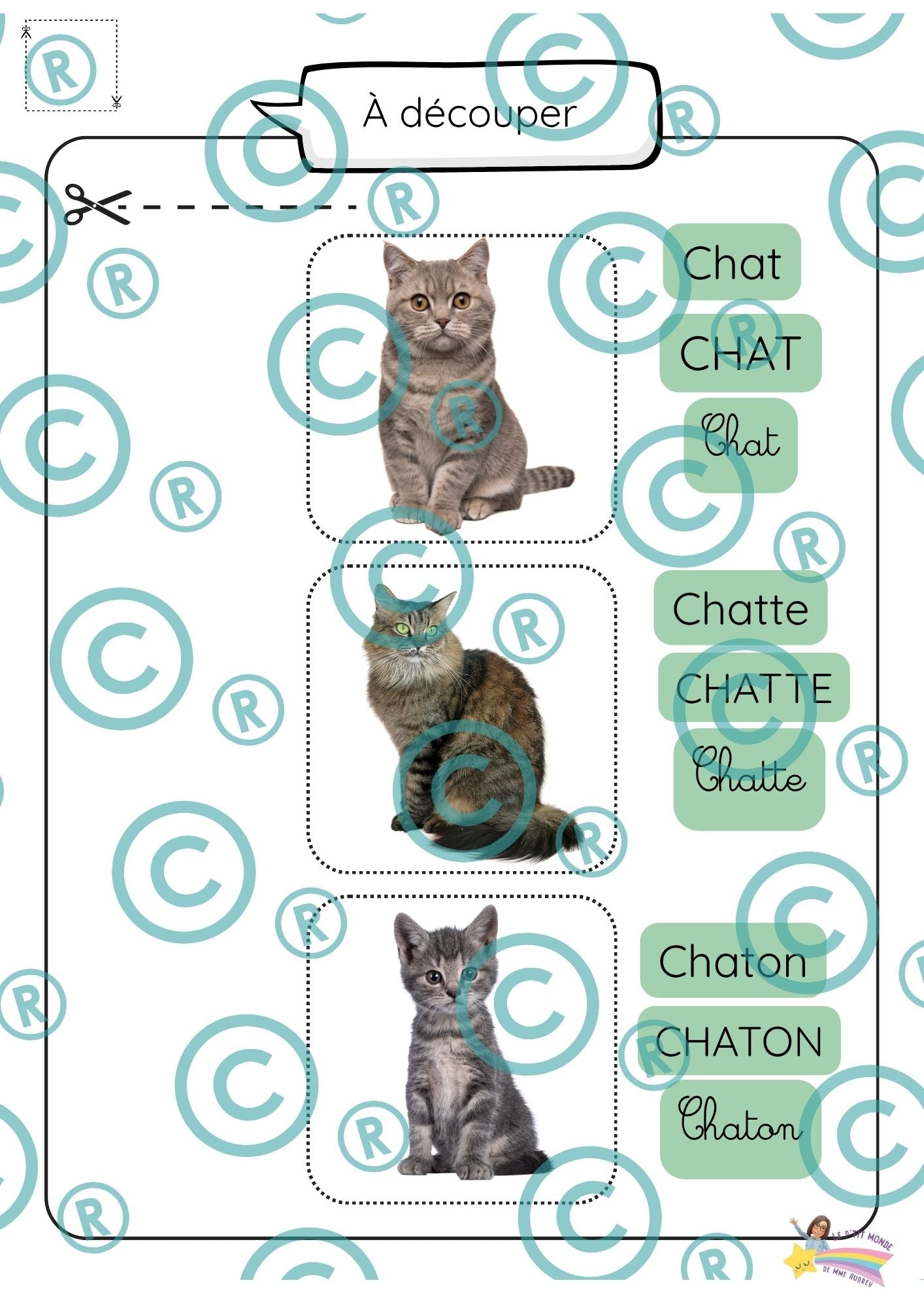 Dossier scientifique : Le monde animal (La classification)