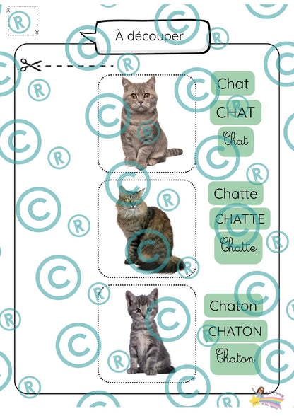 Dossier scientifique : Le monde animal (La classification)