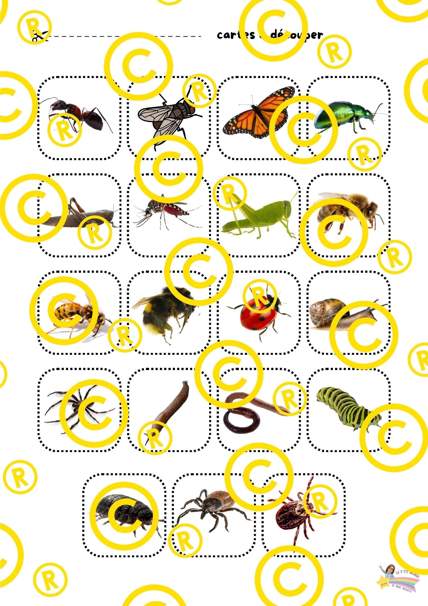 Mon dossier scientifique sur les insectes