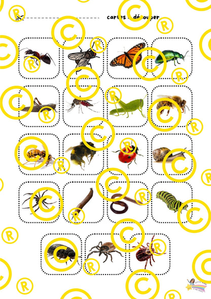 Mon dossier scientifique sur les insectes