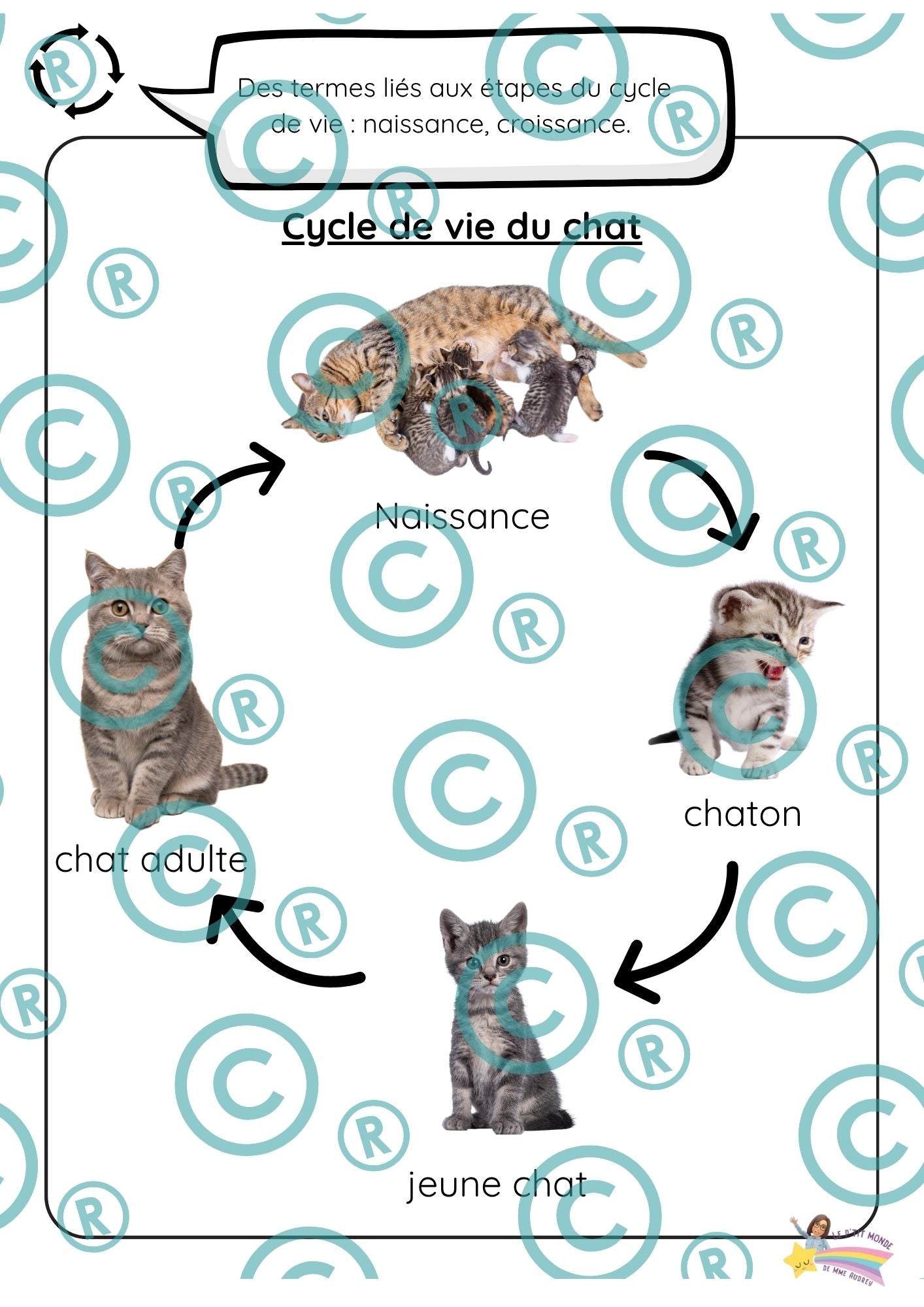 Dossier scientifique : Le monde animal (La classification)