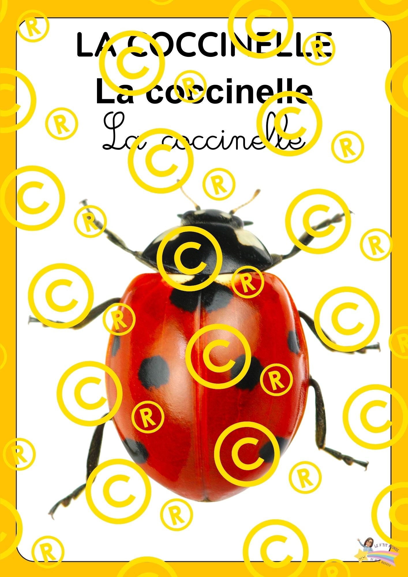 Mon dossier scientifique sur les insectes