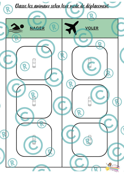 Dossier scientifique : Le monde animal (La classification)