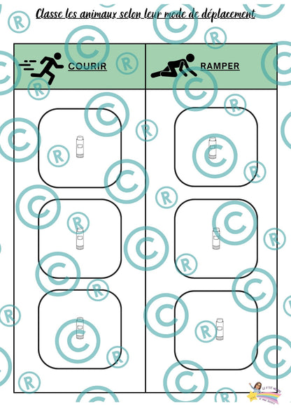 Dossier scientifique : Le monde animal (La classification)