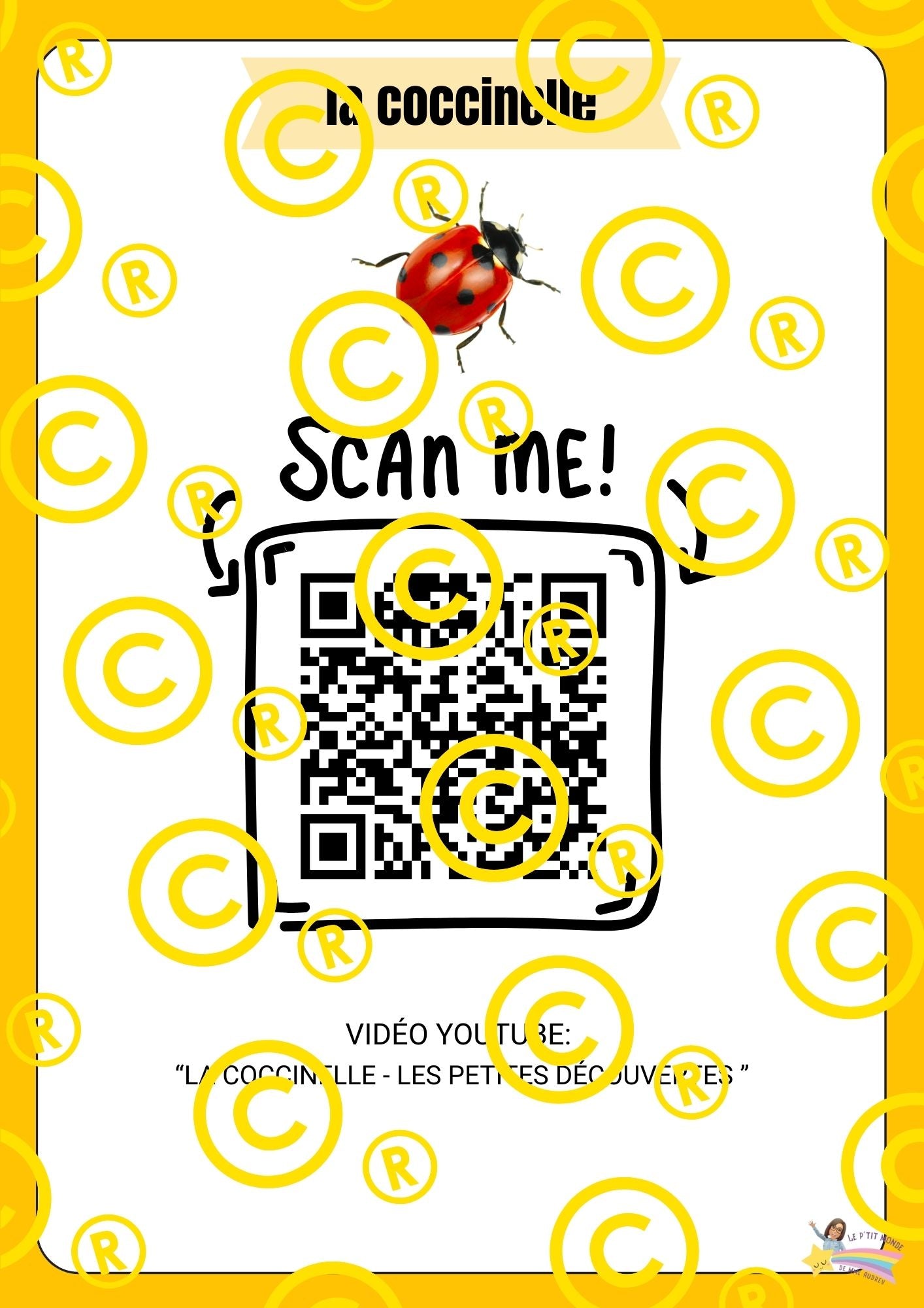 Mon dossier scientifique sur les insectes