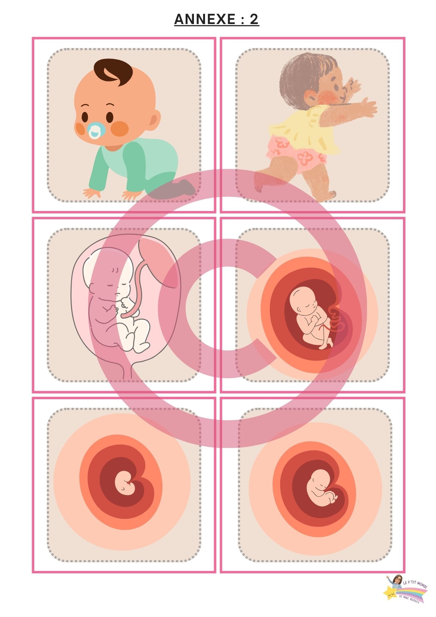 Dossier Sciences: Le corps humain /Les 5 sens (320 pages) + démarches d'investigation