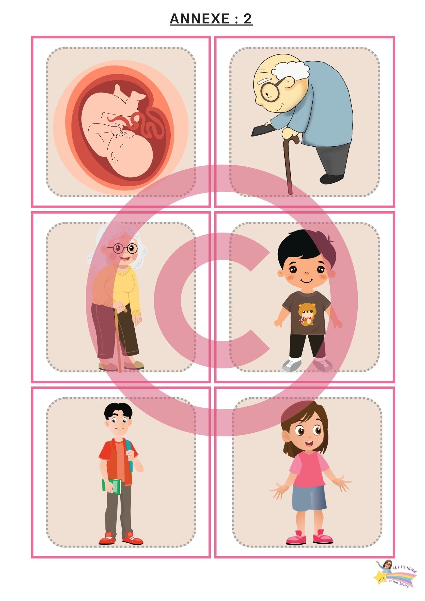 Dossier Sciences: Le corps humain /Les 5 sens (320 pages) + démarches d'investigation