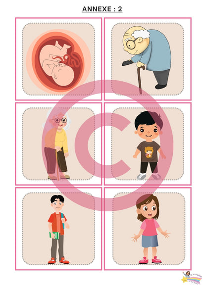 Dossier Sciences: Le corps humain /Les 5 sens (320 pages) + démarches d'investigation