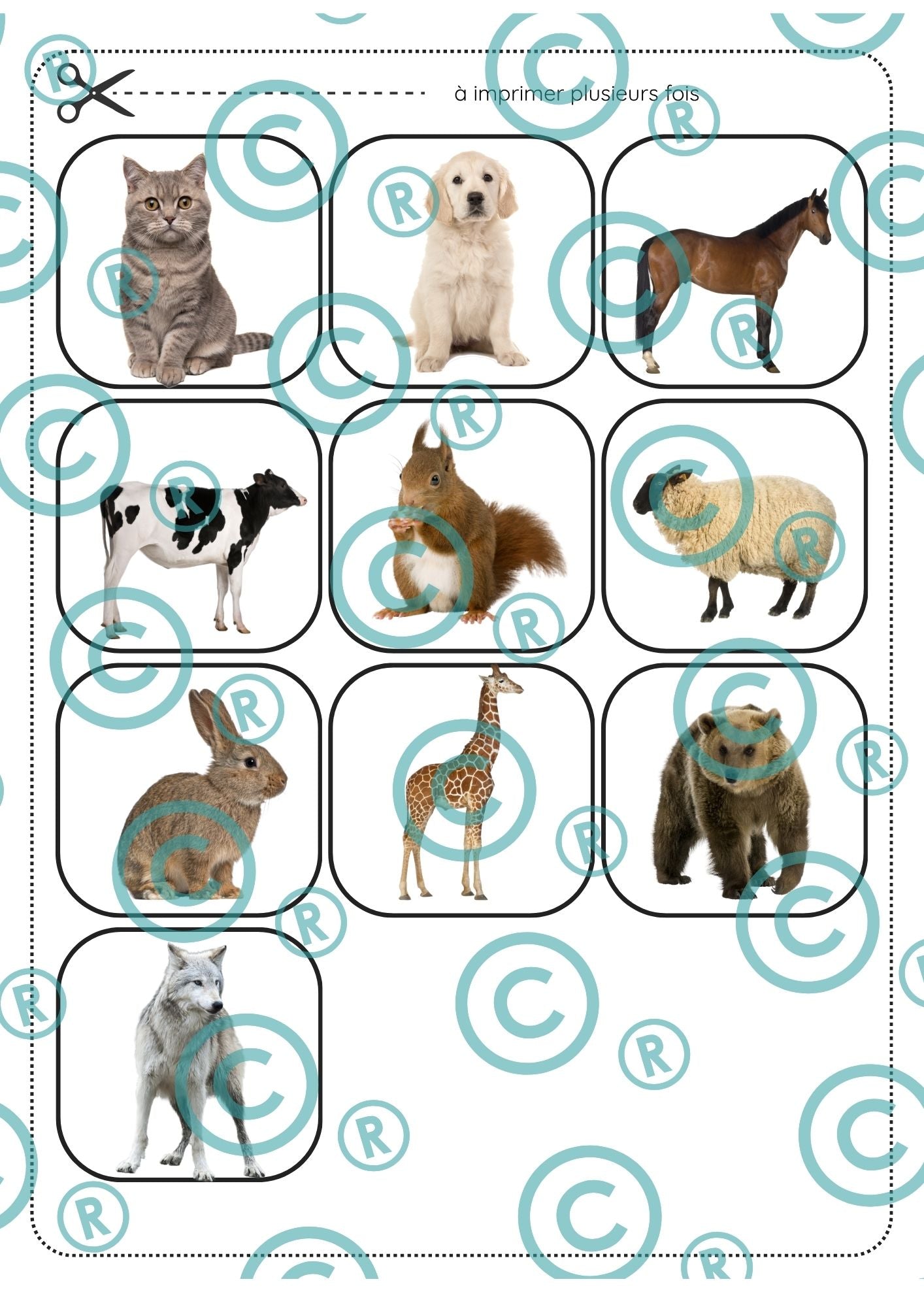 Dossier scientifique : Le monde animal (La classification)