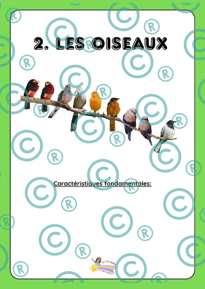 Dossier scientifique : Le monde animal (La classification)