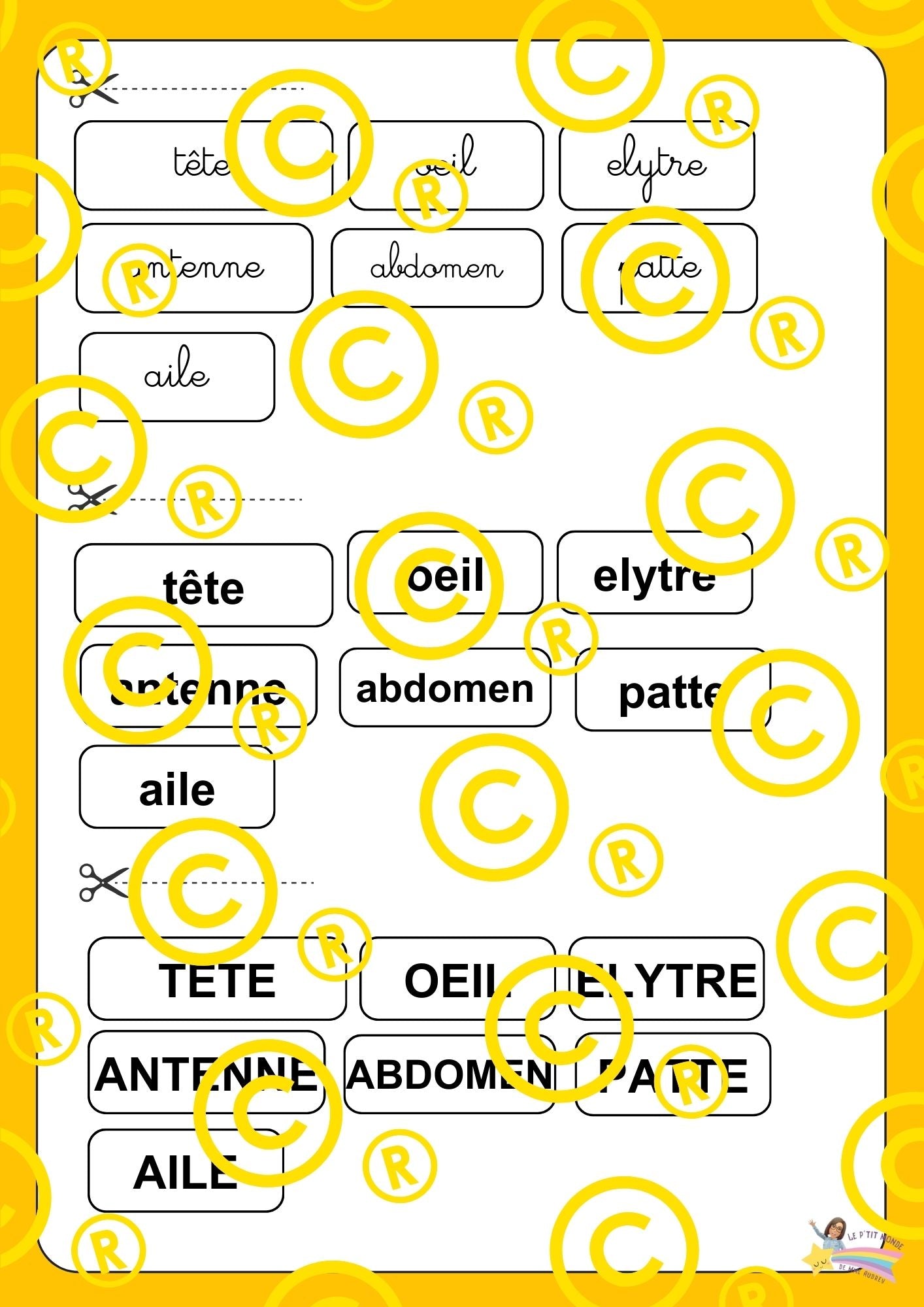 Mon dossier scientifique sur les insectes