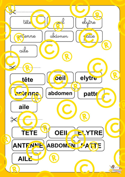 Mon dossier scientifique sur les insectes