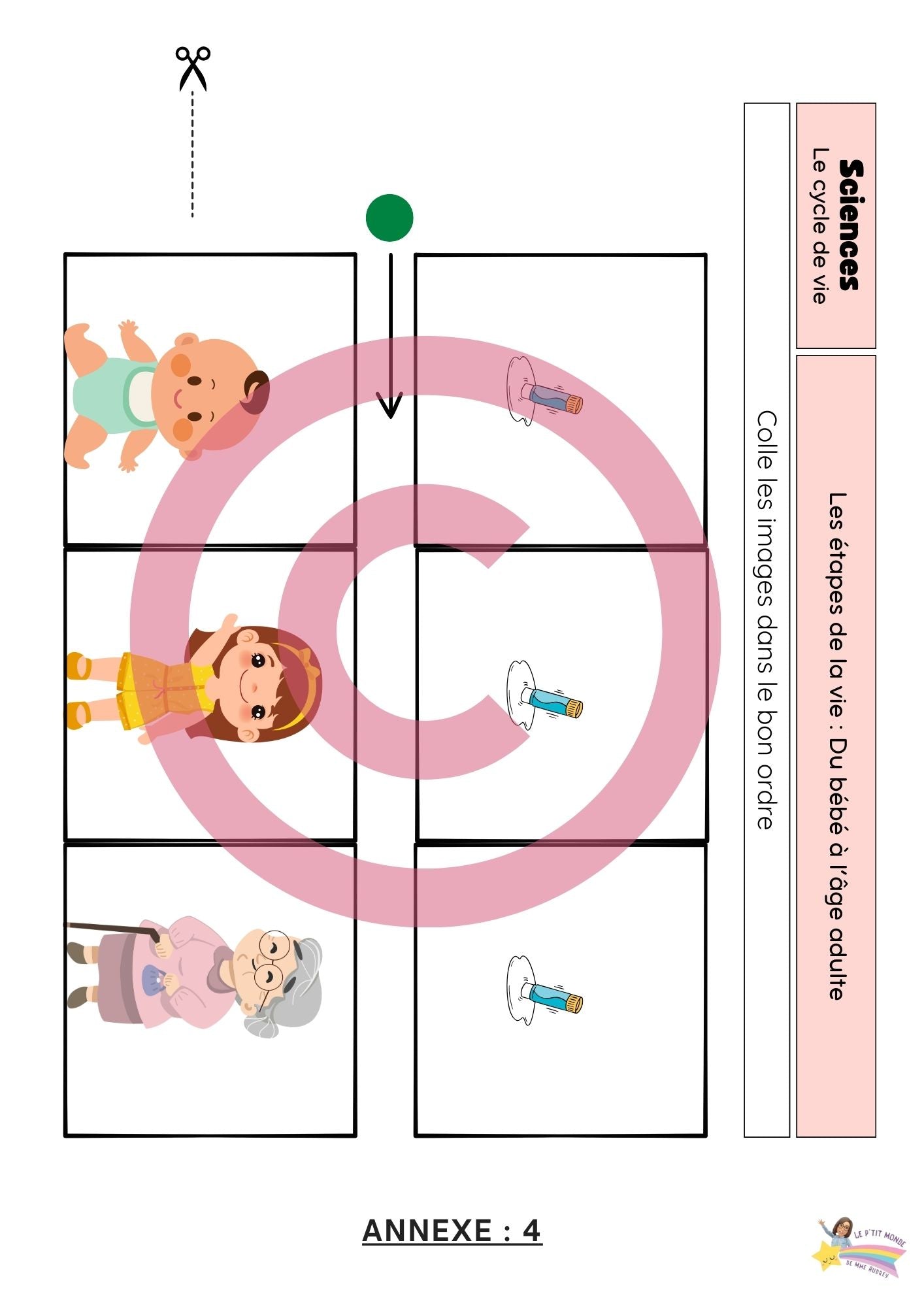 Dossier Sciences: Le corps humain /Les 5 sens (320 pages) + démarches d'investigation