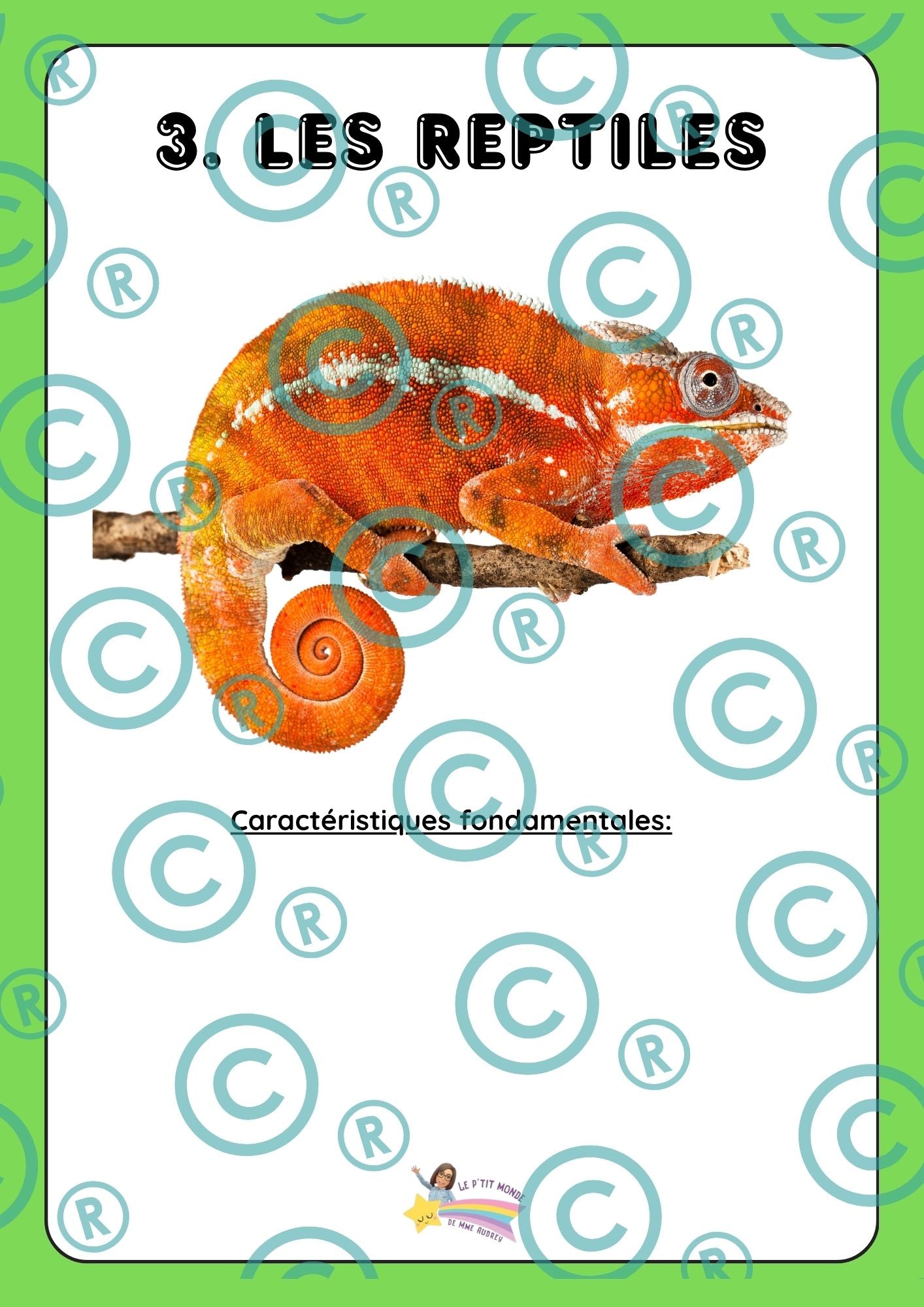 Dossier scientifique : Le monde animal (La classification)