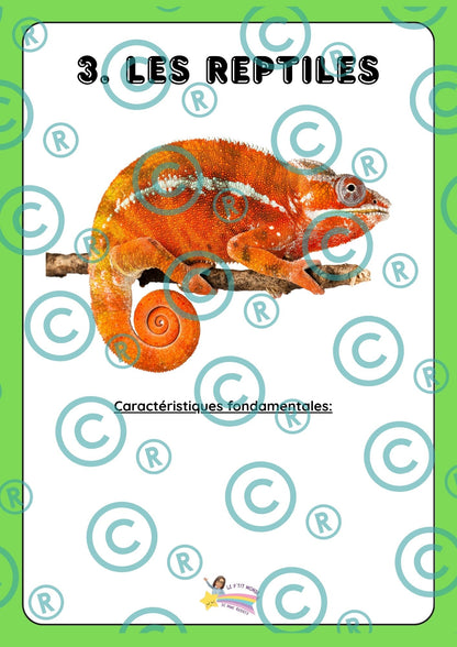 Dossier scientifique : Le monde animal (La classification)