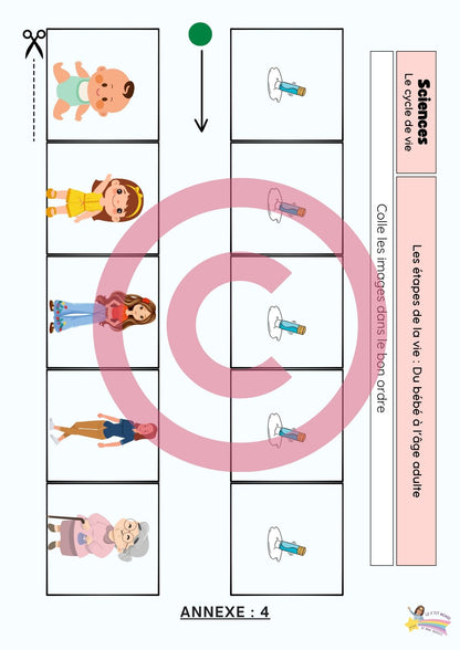 Dossier Sciences: Le corps humain /Les 5 sens (320 pages) + démarches d'investigation