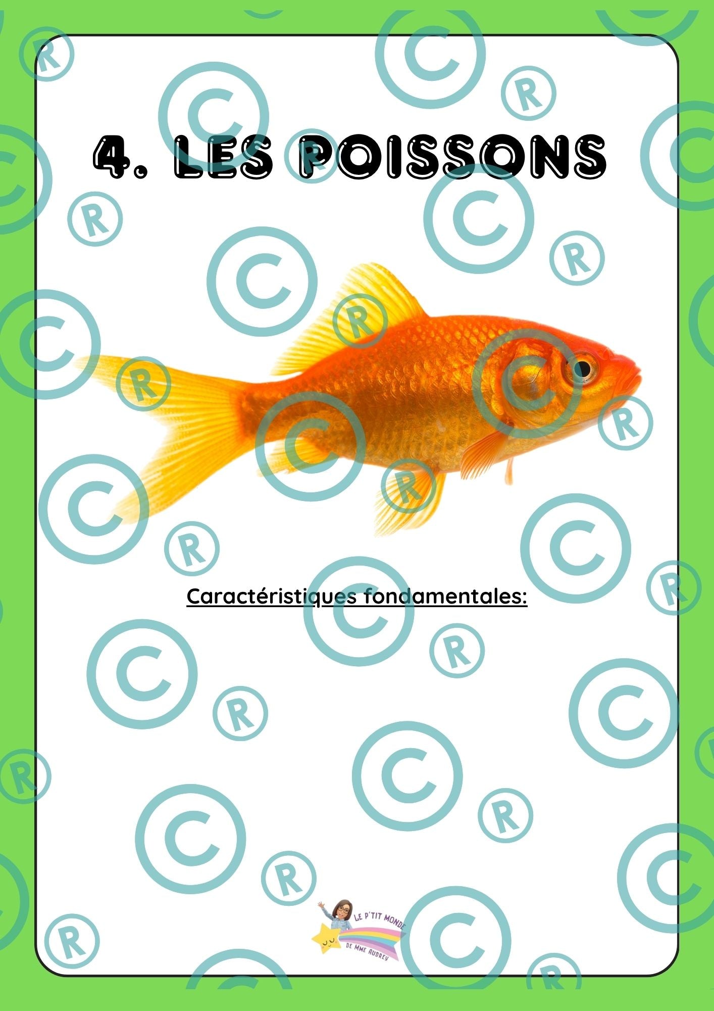 Dossier scientifique : Le monde animal (La classification)