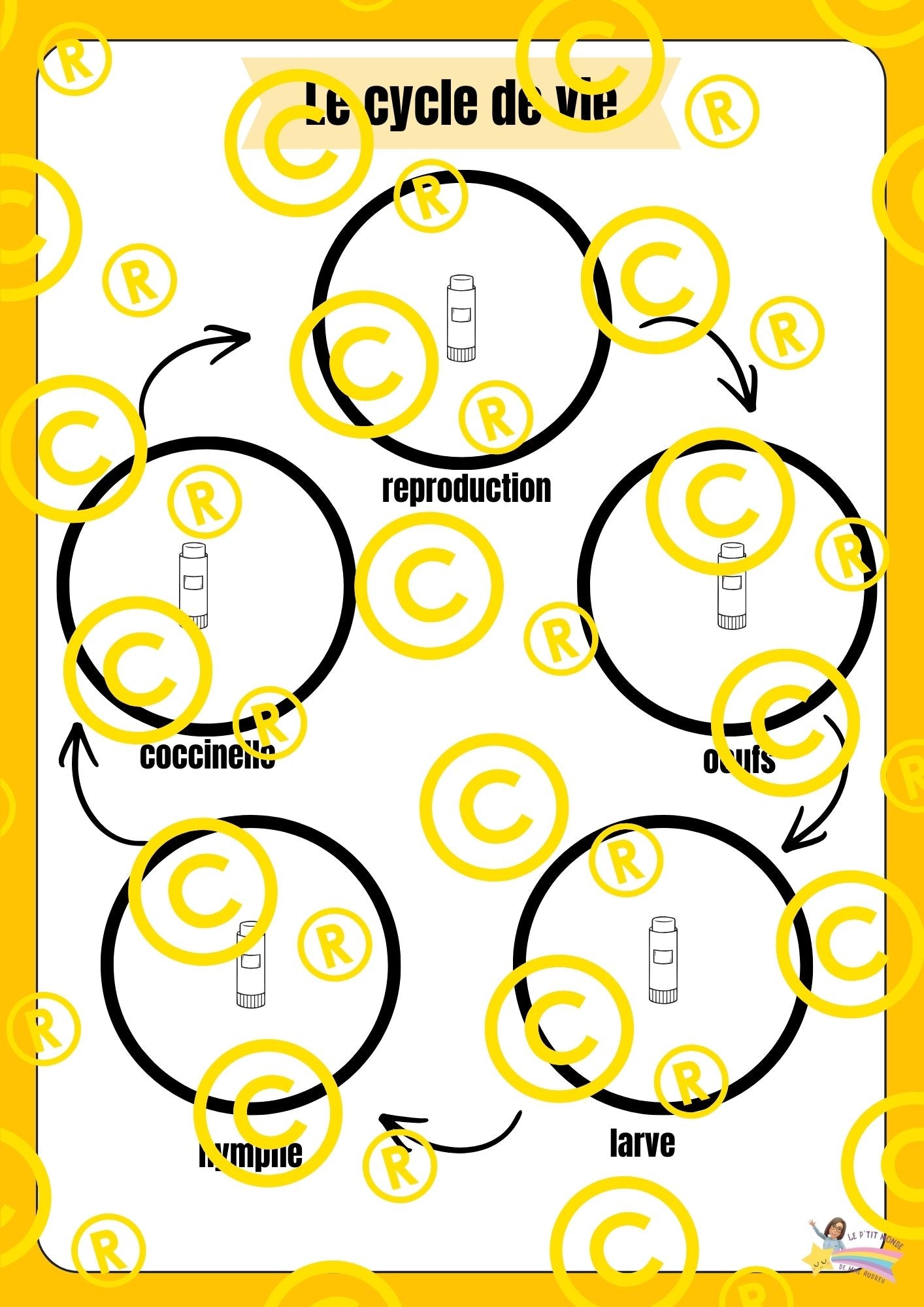 Mon dossier scientifique sur les insectes