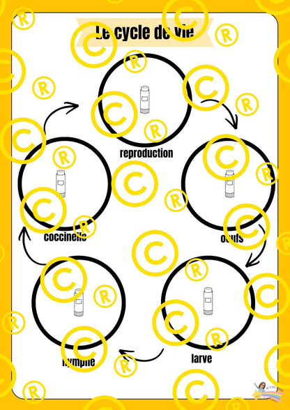 Mon dossier scientifique sur les insectes