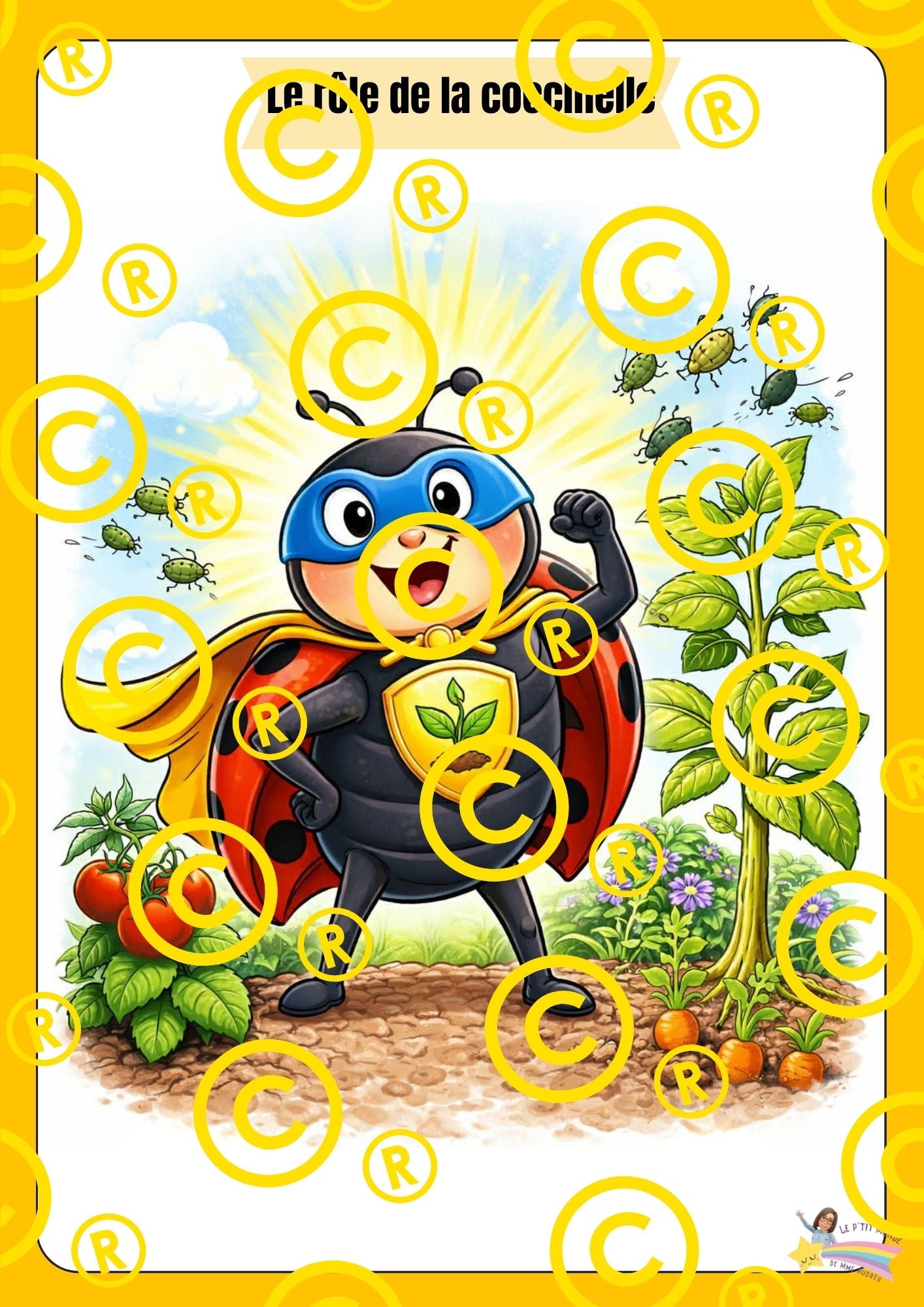 Mon dossier scientifique sur les insectes