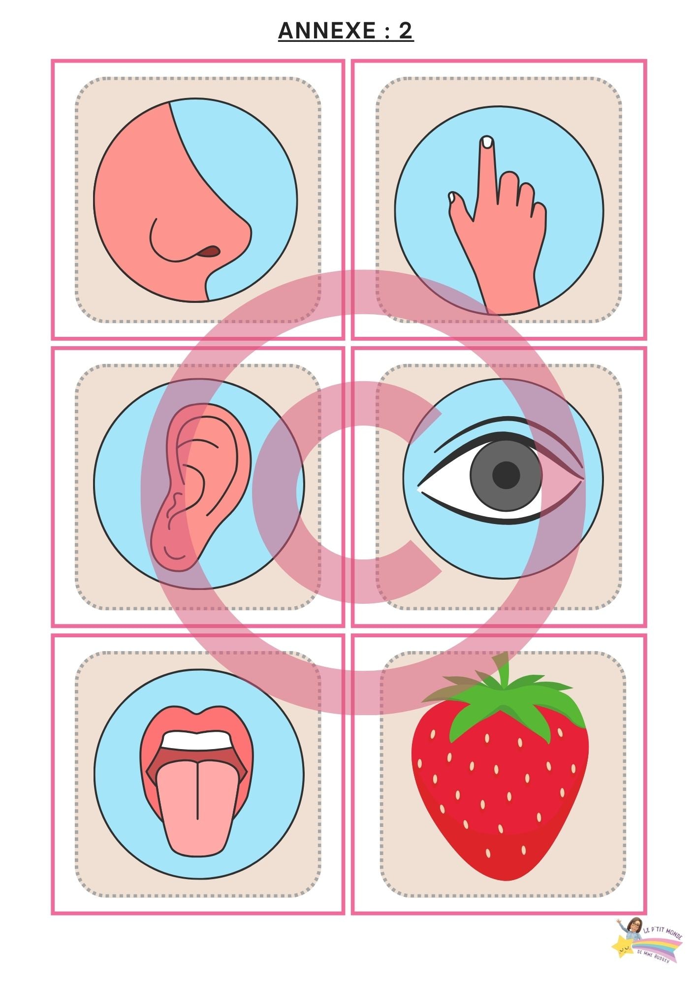 Dossier Sciences: Le corps humain /Les 5 sens (320 pages) + démarches d'investigation