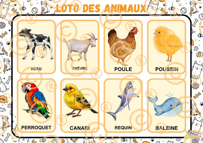 PDF Loto des animaux PDF