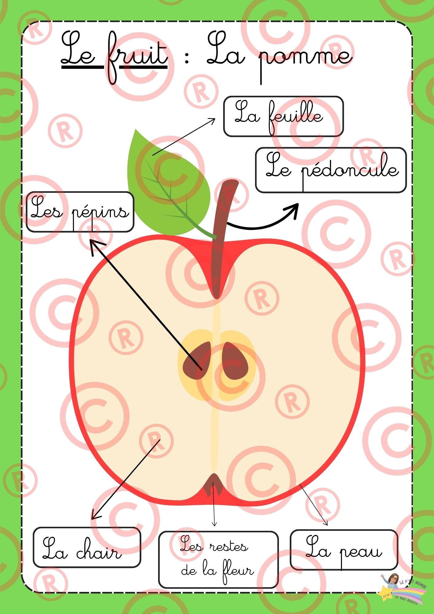 Mini Dossier sur "Les pommes"
