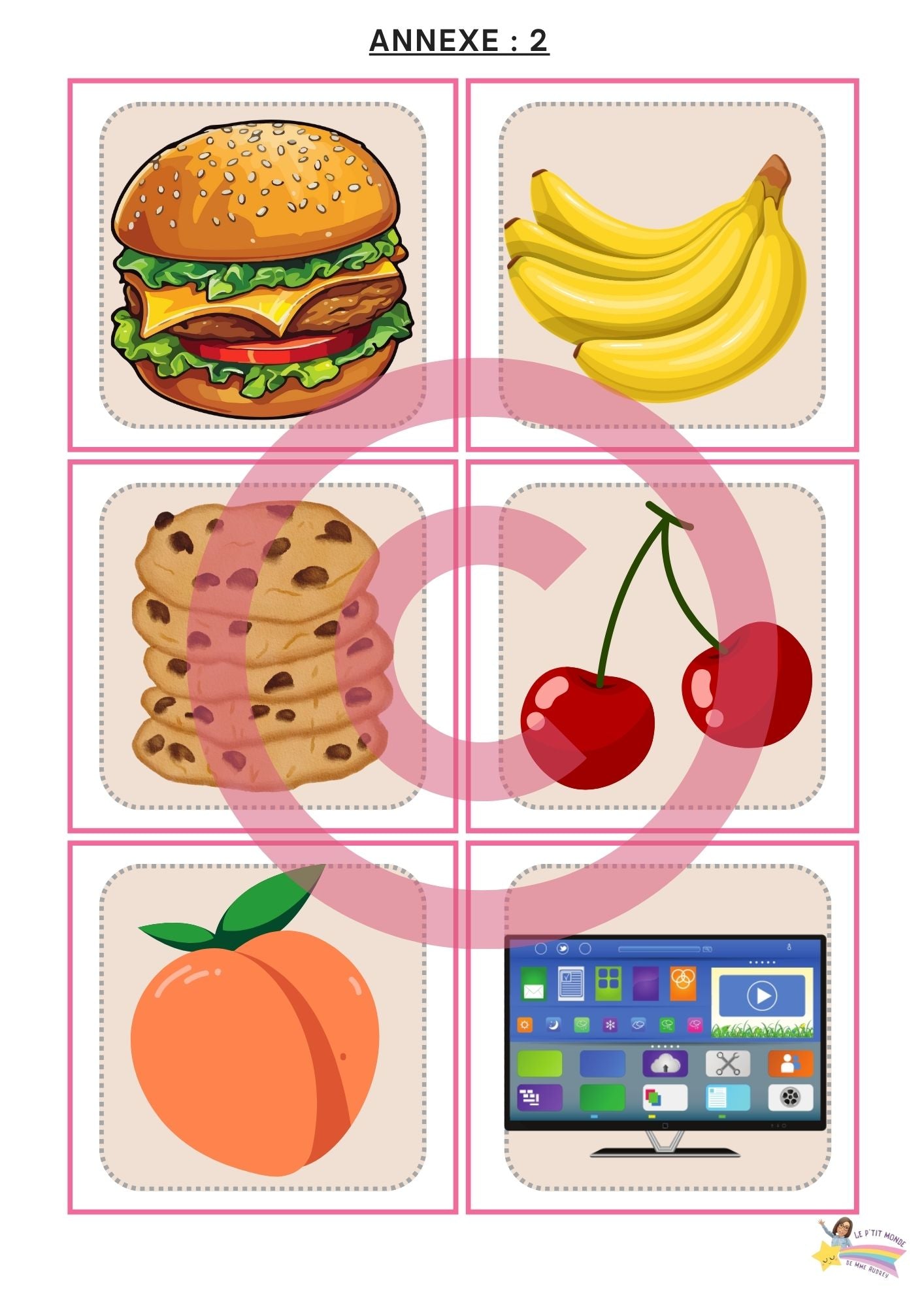 Dossier Sciences: Le corps humain /Les 5 sens (320 pages) + démarches d'investigation