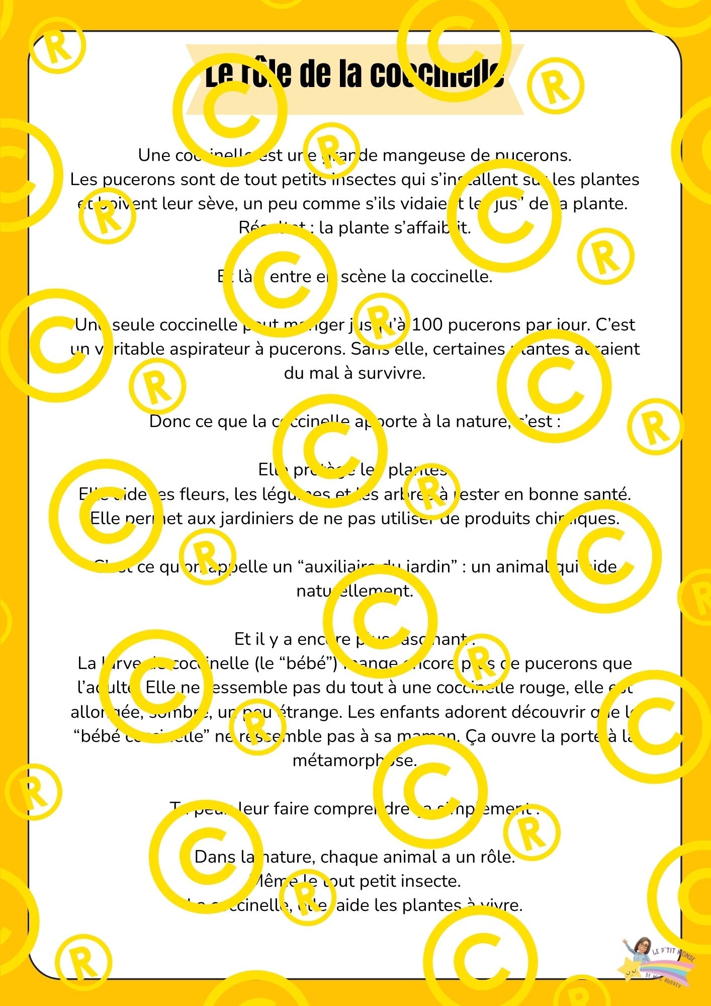 Mon dossier scientifique sur les insectes