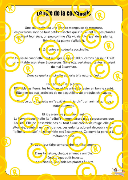 Mon dossier scientifique sur les insectes