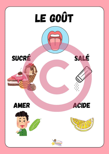 Dossier Sciences: Le corps humain /Les 5 sens (320 pages) + démarches d'investigation