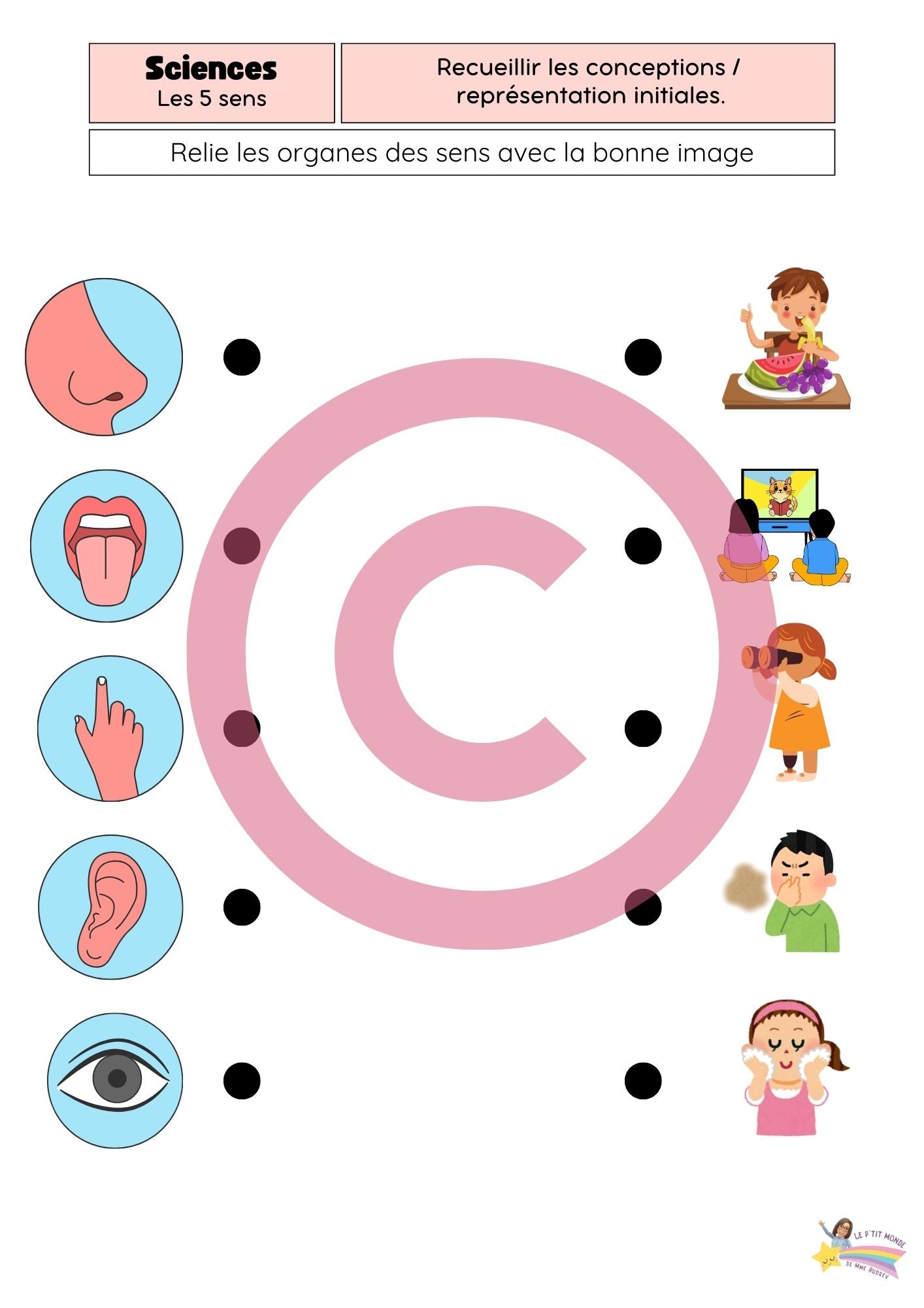 Dossier Sciences: Le corps humain /Les 5 sens (320 pages) + démarches d'investigation