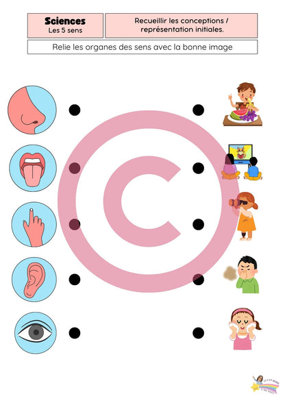 Dossier Sciences: Le corps humain /Les 5 sens (320 pages) + démarches d'investigation