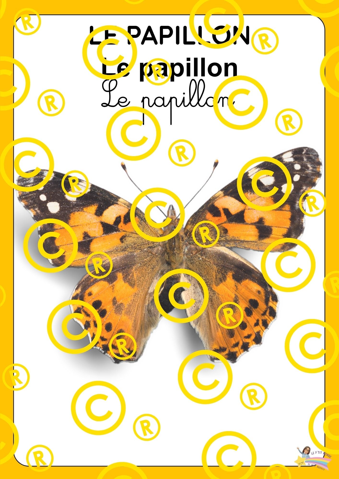 Mon dossier scientifique sur les insectes