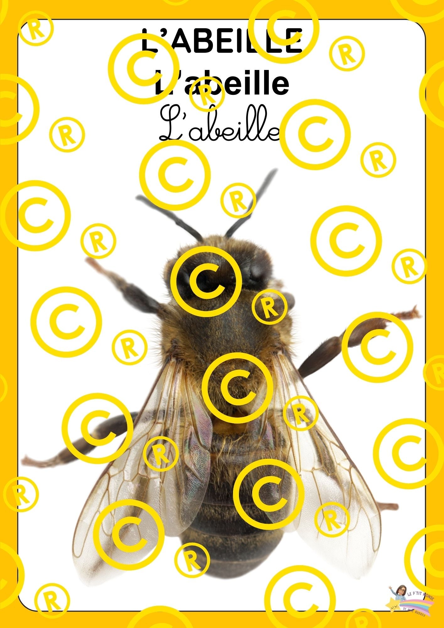 Mon dossier scientifique sur les insectes