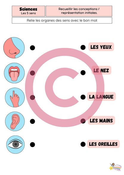 Dossier Sciences: Le corps humain /Les 5 sens (320 pages) + démarches d'investigation