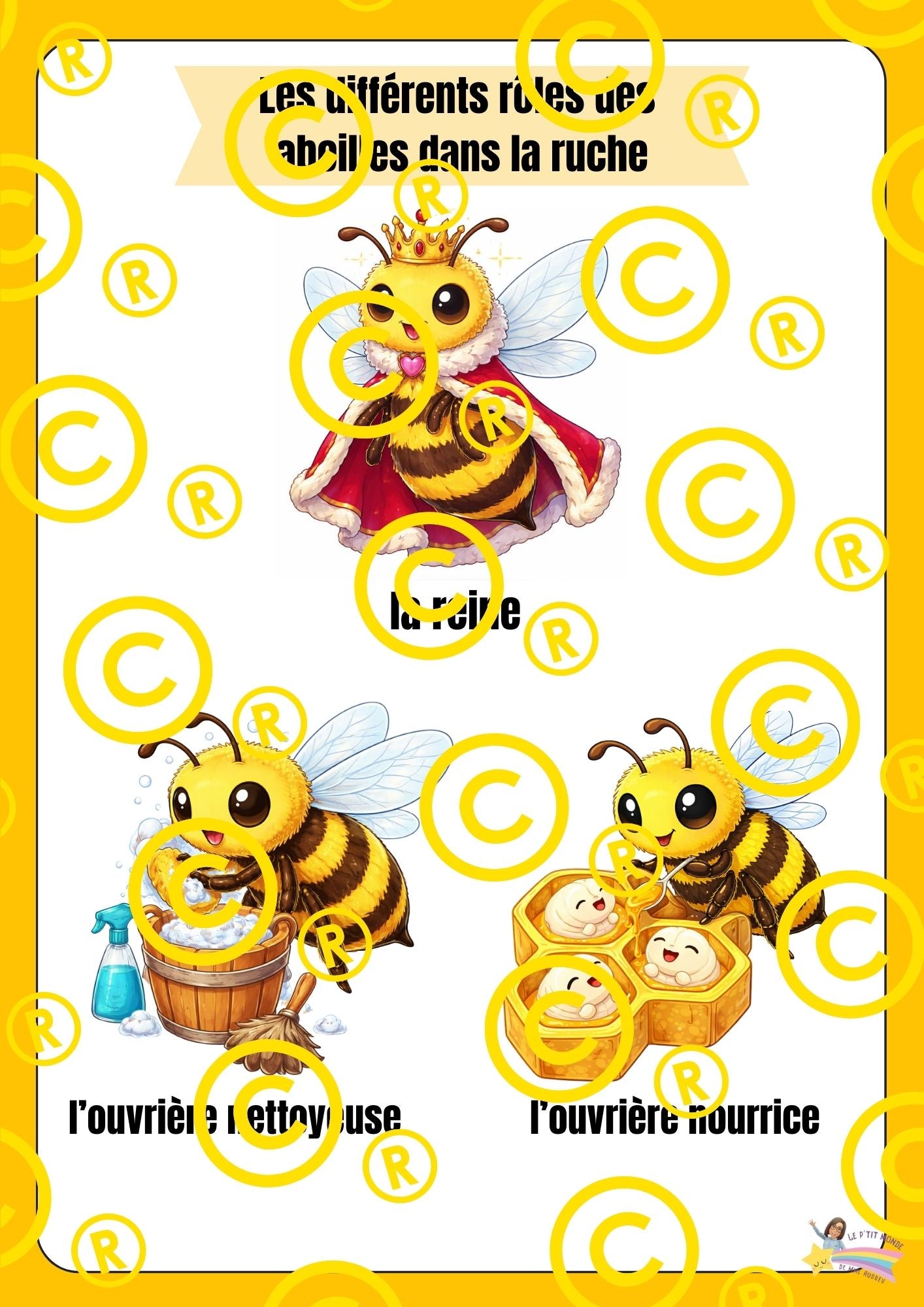 Mon dossier scientifique sur les insectes