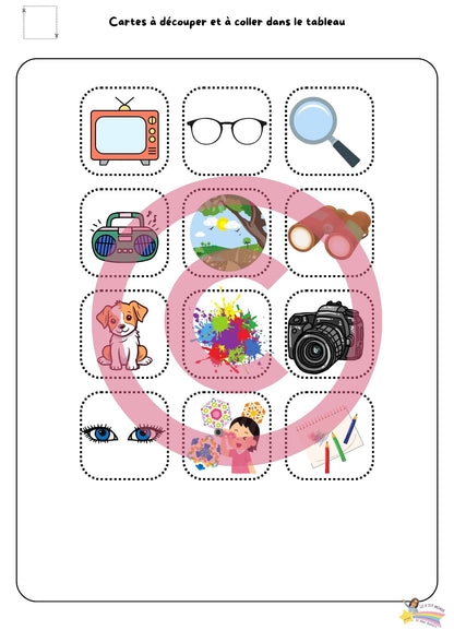 Dossier Sciences: Le corps humain /Les 5 sens (320 pages) + démarches d'investigation