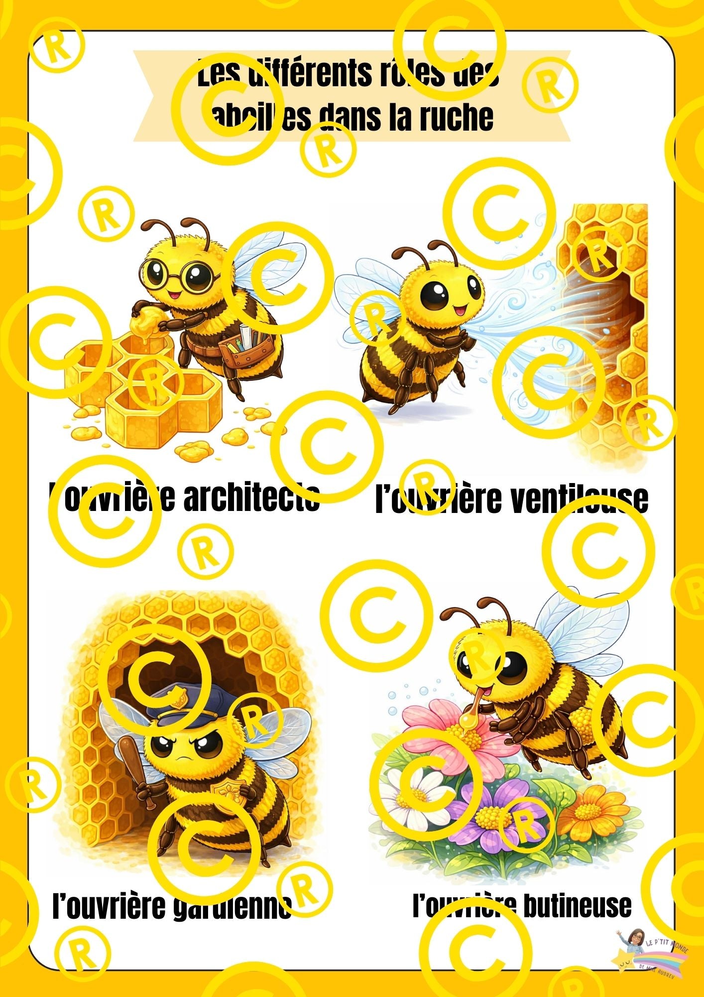 Mon dossier scientifique sur les insectes