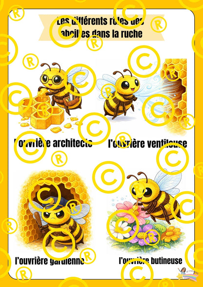 Mon dossier scientifique sur les insectes