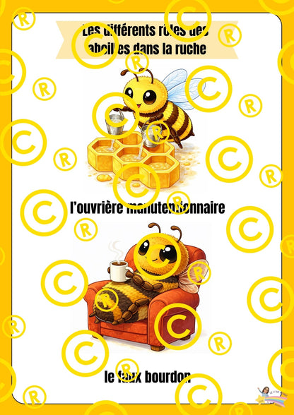 Mon dossier scientifique sur les insectes