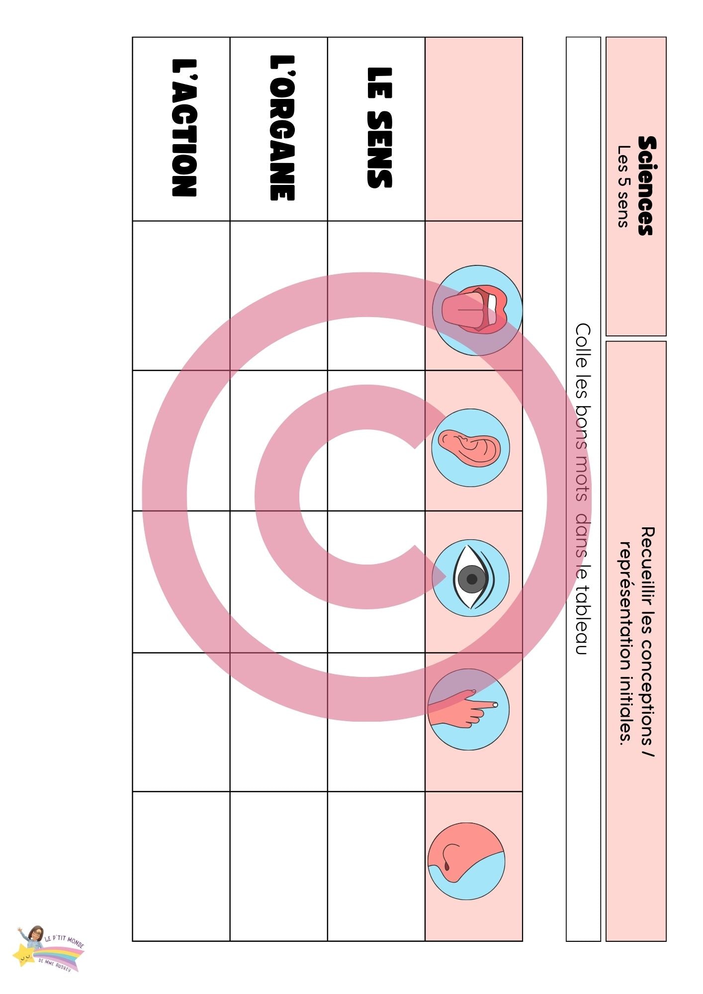 Dossier Sciences: Le corps humain /Les 5 sens (320 pages) + démarches d'investigation