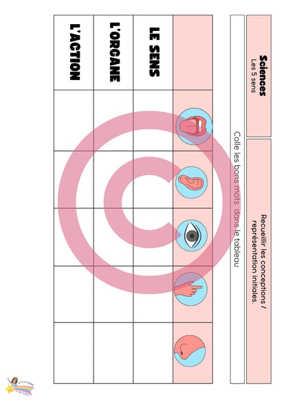 Dossier Sciences: Le corps humain /Les 5 sens (320 pages) + démarches d'investigation