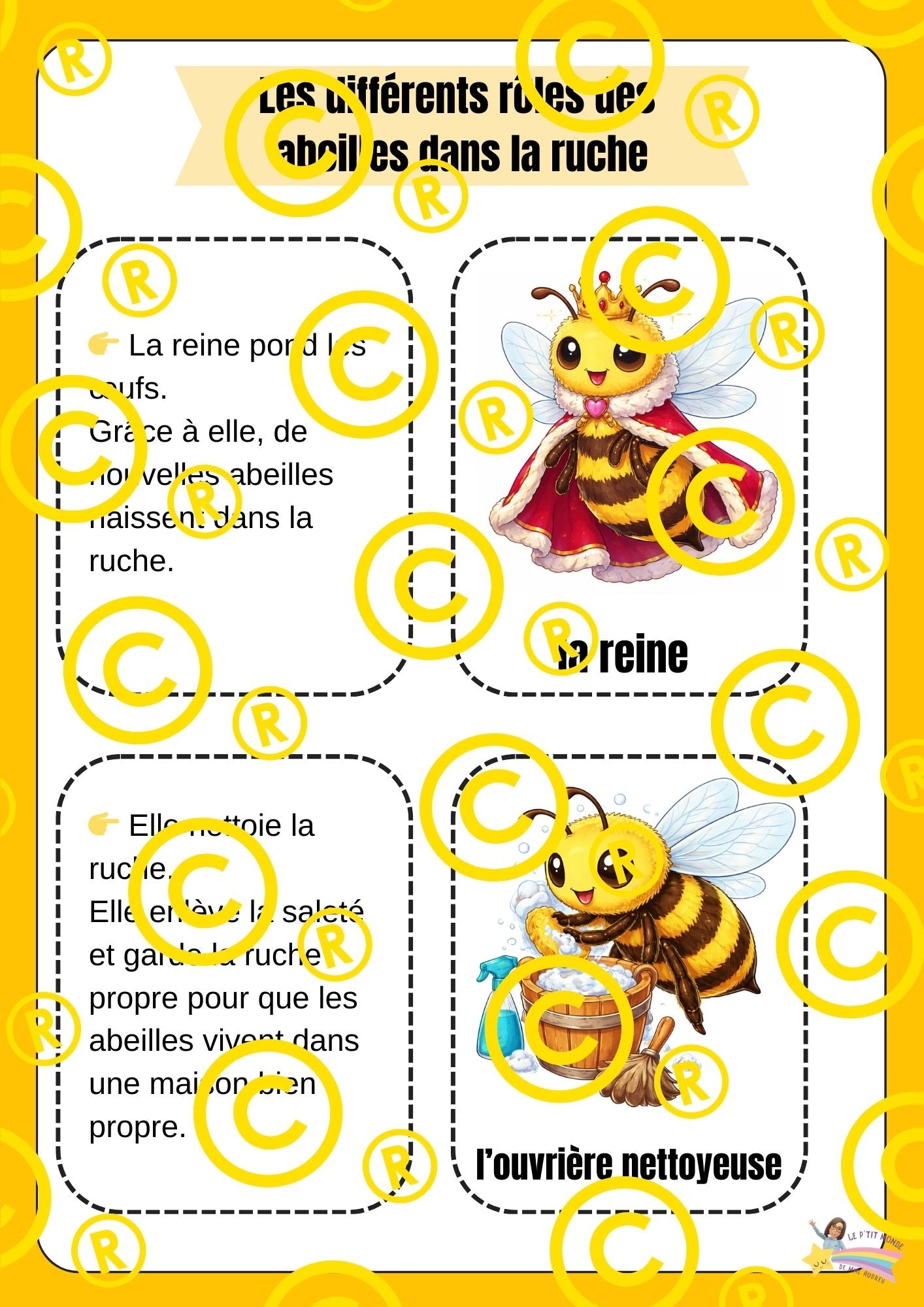 Mon dossier scientifique sur les insectes