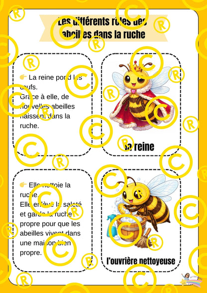 Mon dossier scientifique sur les insectes