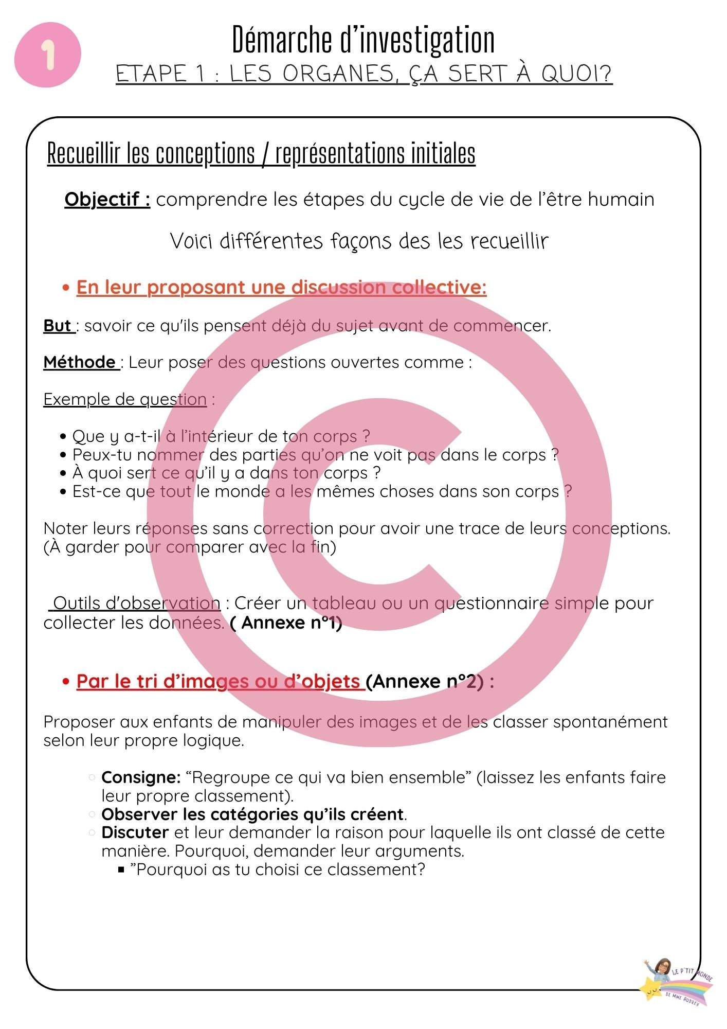 Dossier Sciences: Le corps humain /Les 5 sens (320 pages) + démarches d'investigation